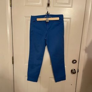 Pixie dress pants
